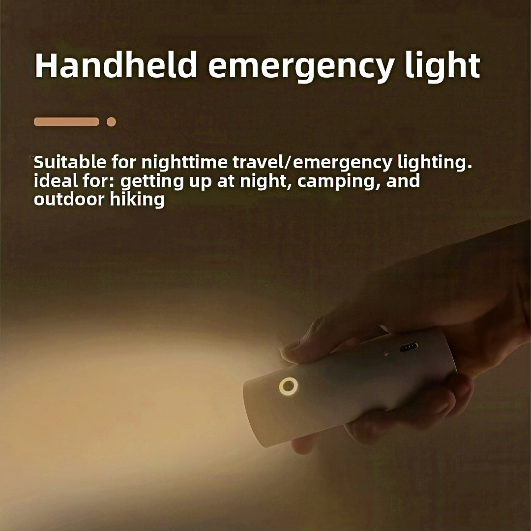 Rechargeable LED Desk Lamp with Detachable Magnetic Light Head
