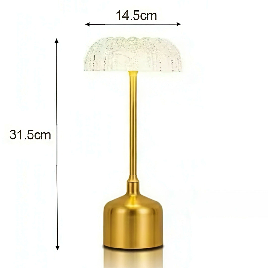 Rechargeable Metal Table Lamp with Clear Acrylic Lamp Shade