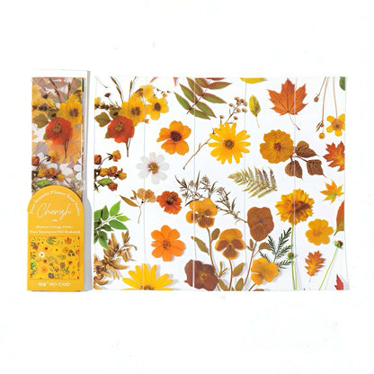 Four Seasons Flower Transparent PET Bookmark Set