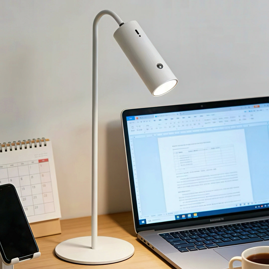 Rechargeable LED Desk Lamp with Detachable Magnetic Light Head