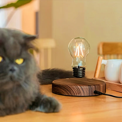 Floating LED Bulb Table Lamp