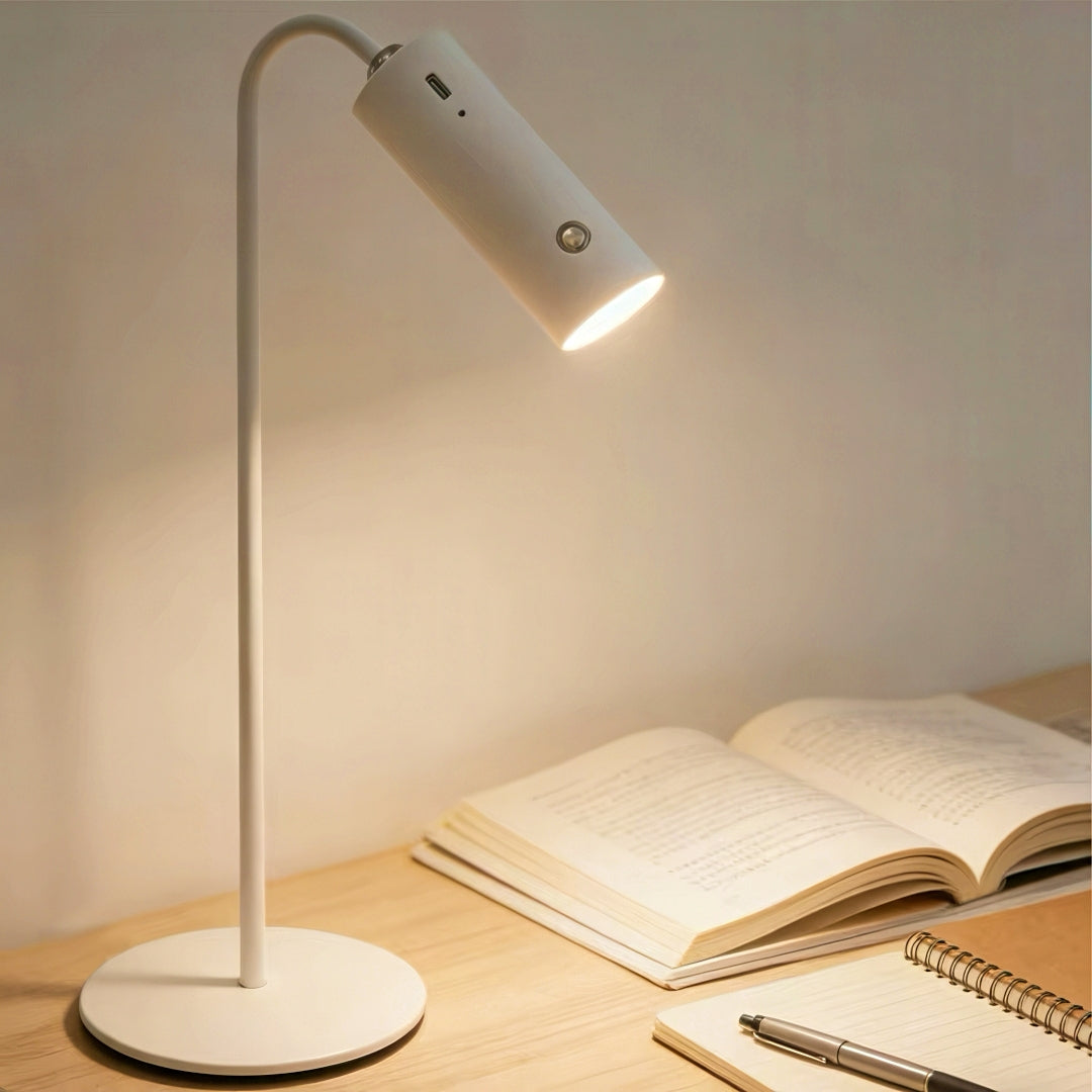 Rechargeable LED Desk Lamp with Detachable Magnetic Light Head