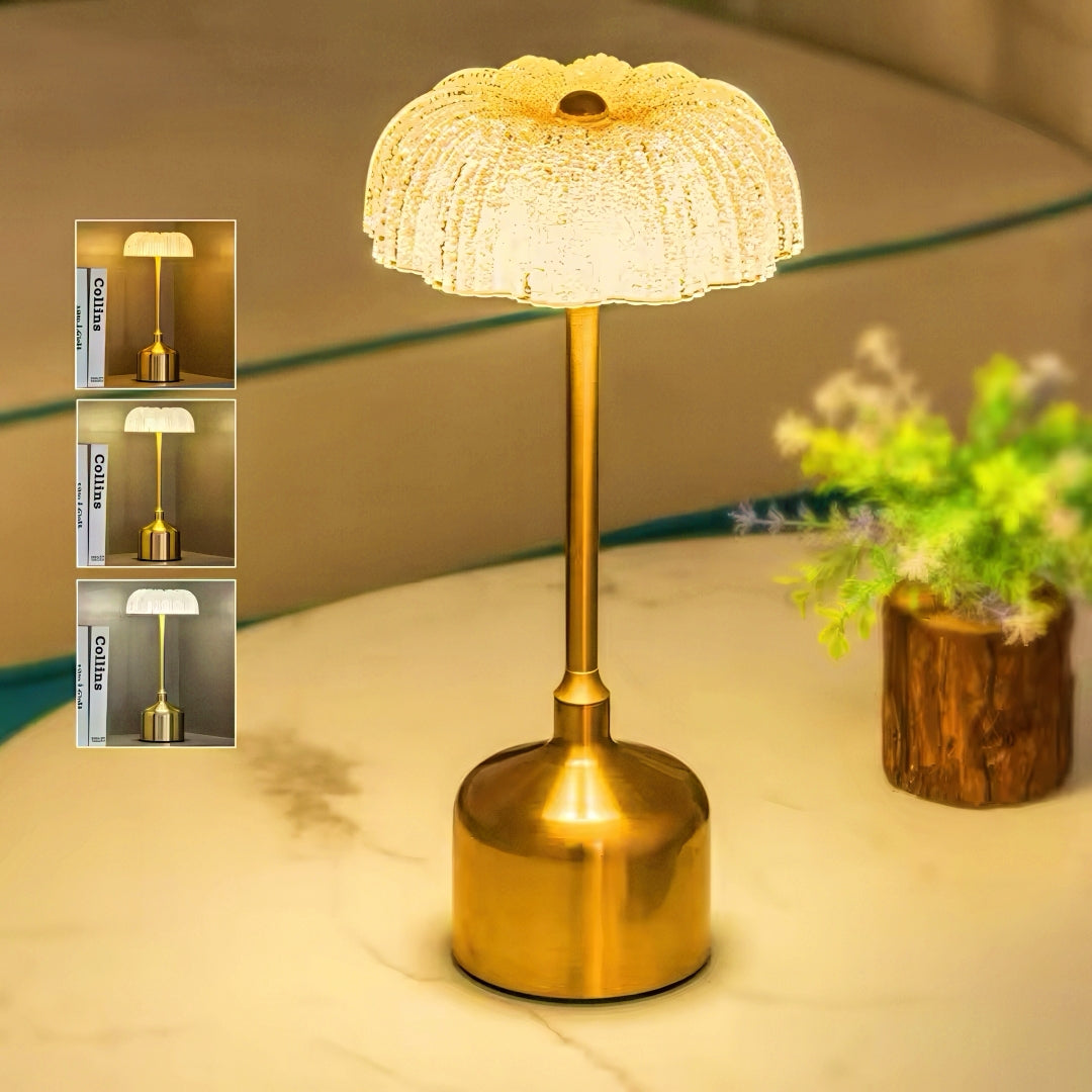 Rechargeable Metal Table Lamp with Clear Acrylic Lamp Shade
