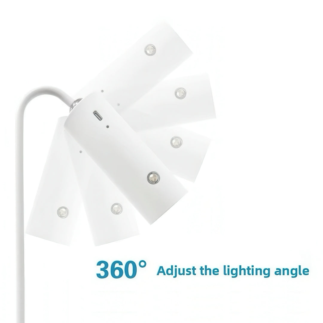 Rechargeable LED Desk Lamp with Detachable Magnetic Light Head
