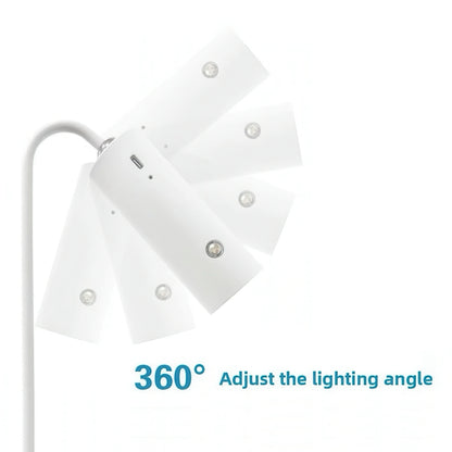 Rechargeable LED Desk Lamp with Detachable Magnetic Light Head