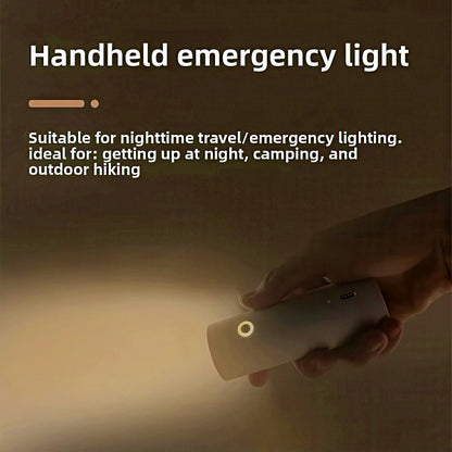 Rechargeable LED Desk Lamp with Detachable Magnetic Light Head
