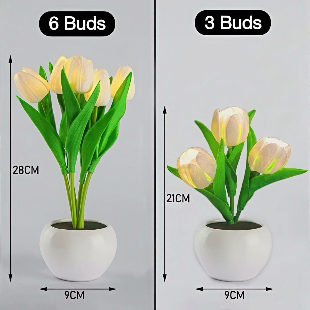Tulip Pot LED Nightlight