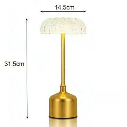 Rechargeable Metal Table Lamp with Clear Acrylic Lamp Shade
