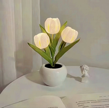 Tulip Pot LED Nightlight